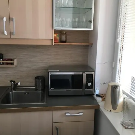 Apartament Sosna * 格丁尼亚